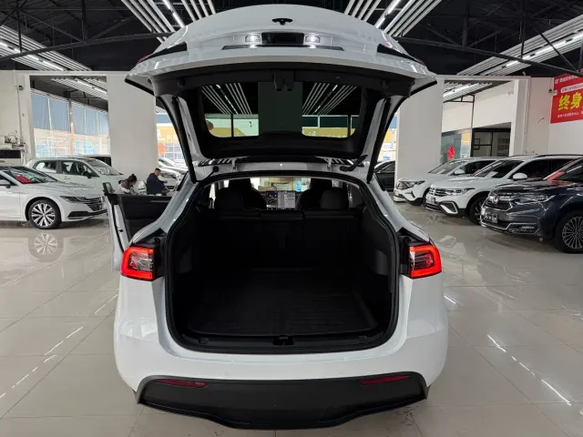 Tesla Model Y — Фото автомобиля 23