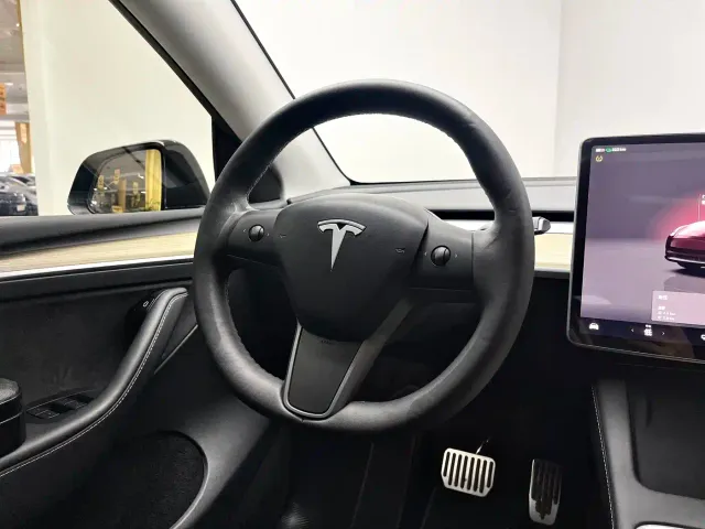 Tesla Model Y — Фото автомобиля 12