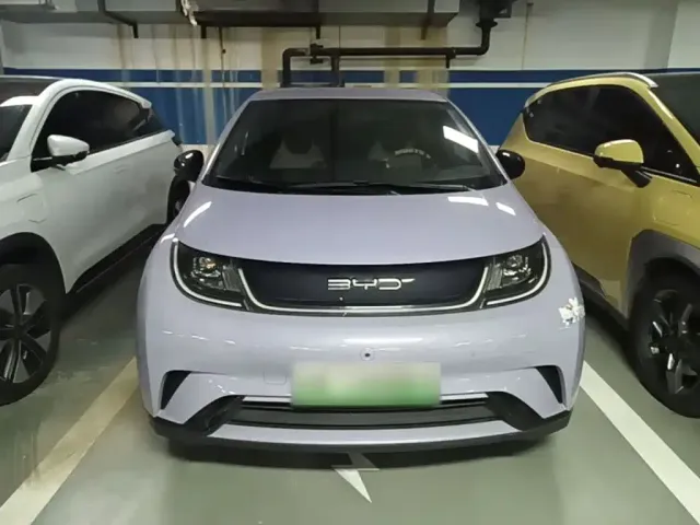 BYD Dolphin — Фото автомобиля 2