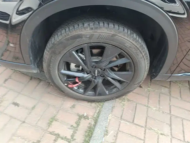 Haval Haval H6 2024 1.5T 2WD Max — Фото автомобиля 22