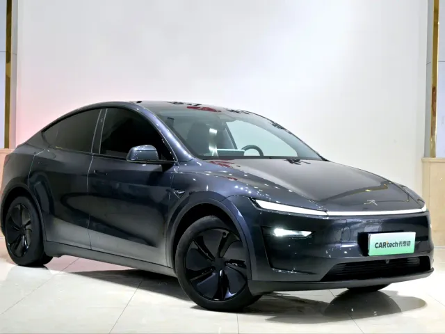 Tesla Model Y — Фото автомобиля 3