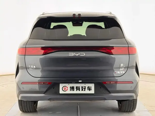BYD Tang L — Фото автомобиля 16
