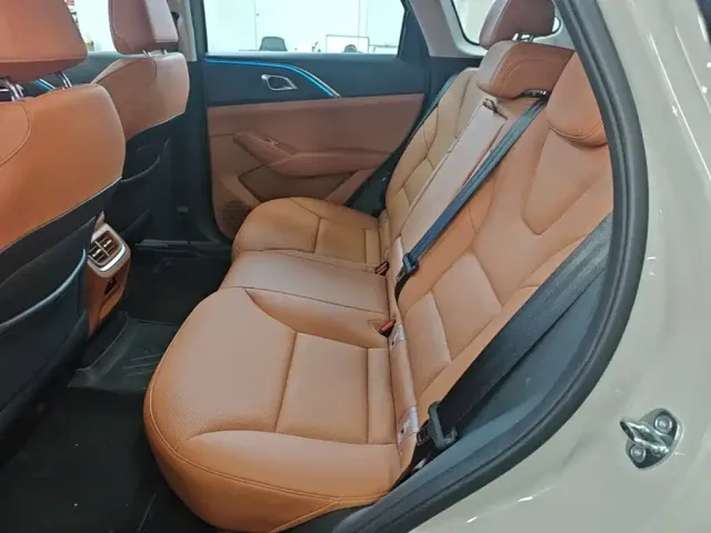 Haval Xiaolong MAX — Фото автомобиля 16