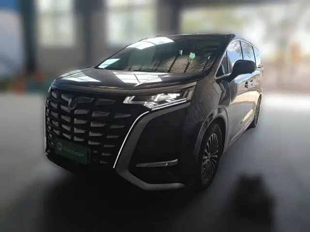 Фотография автомобиля — Denza D9
