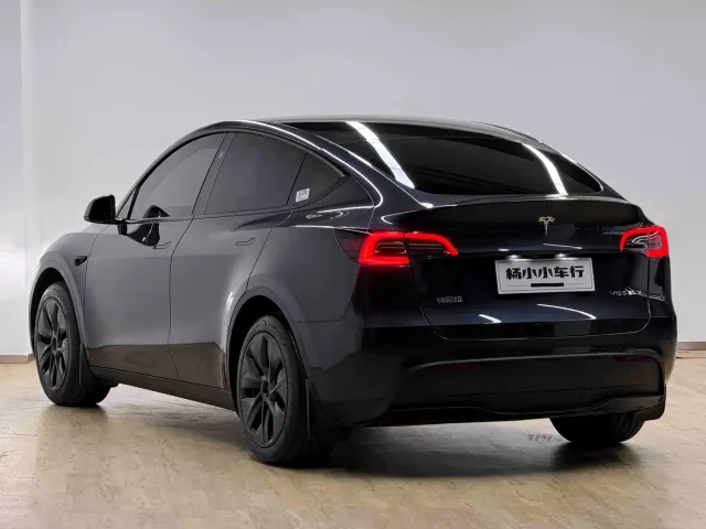 Tesla Model Y — Фото автомобиля 20