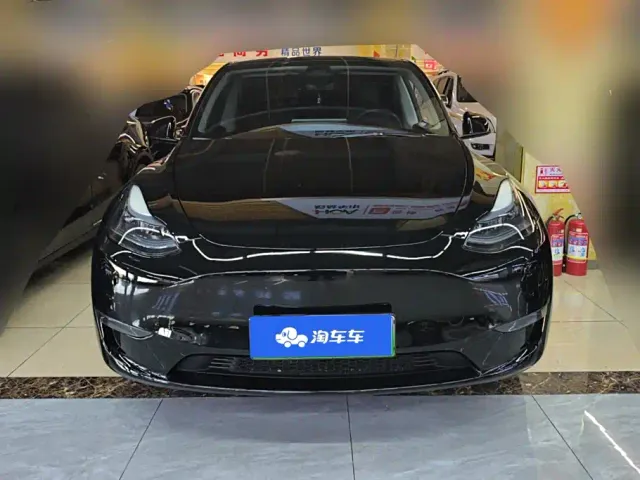 Tesla Model Y — Фото автомобиля 2