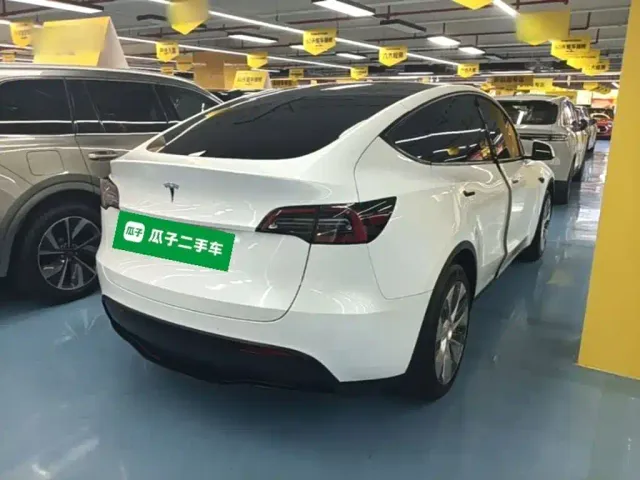 Tesla Model Y — Фото автомобиля 6