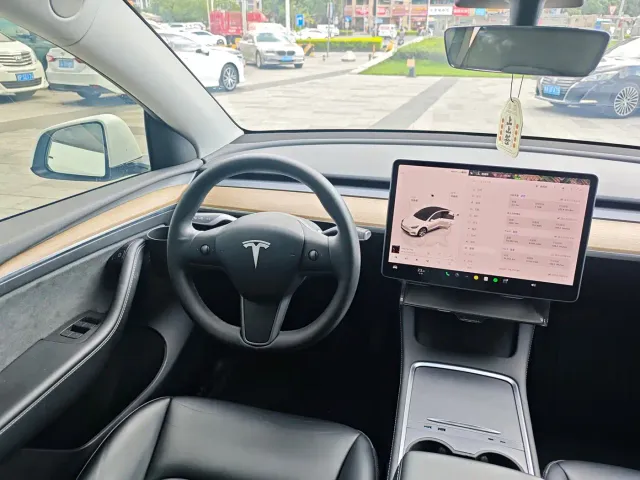 Tesla Model Y — Фото автомобиля 26