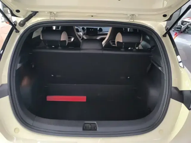 BYD Dolphin 2024 Glory Edition 420km Freedom Edition — Фото автомобиля 18