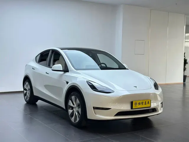 Tesla Model Y — Фото автомобиля 3