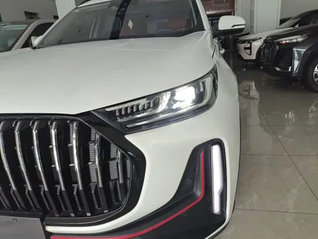 Chery Tiggo 7 PLUS — Фото автомобиля 23