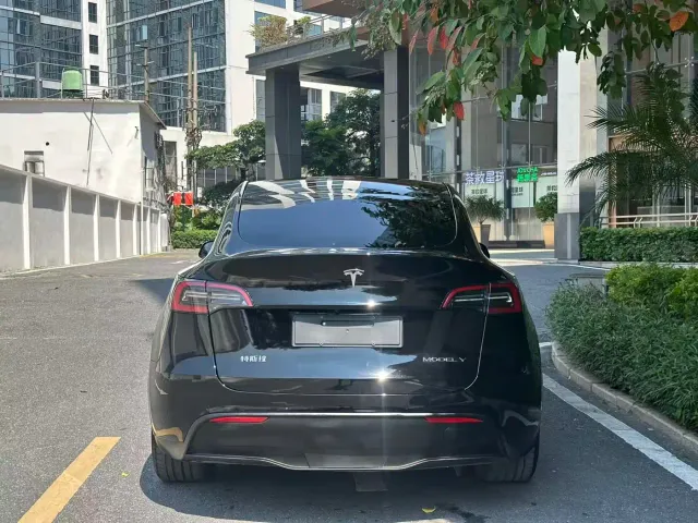 Tesla Model Y — Фото автомобиля 6