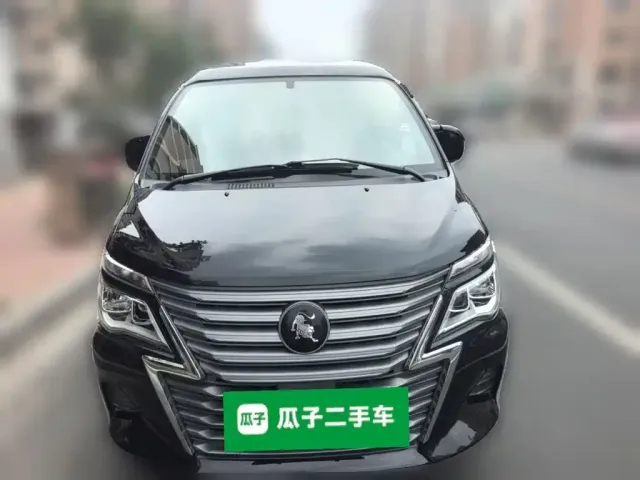 Forthing Lingzhi — Фото автомобиля 2