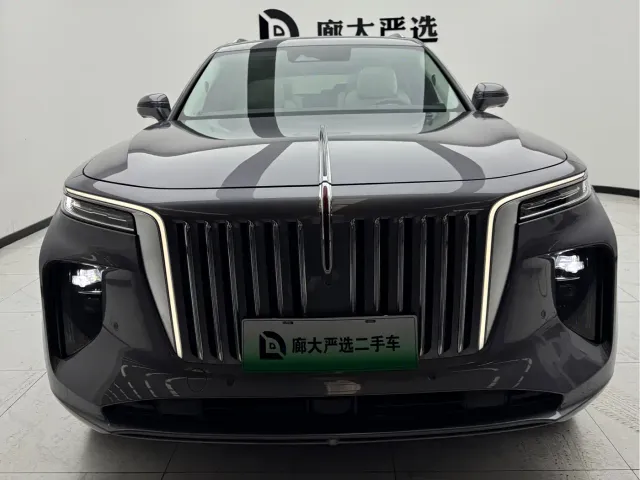 Hongqi E-HS9 — Фото автомобиля 2