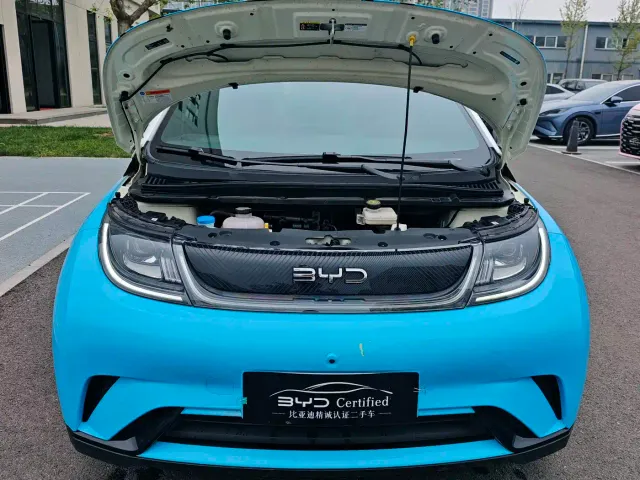 BYD Dolphin — Фото автомобиля 2