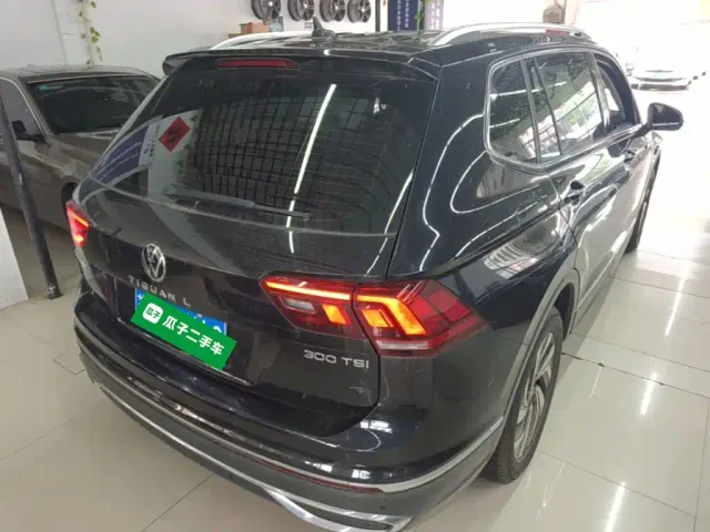 Volkswagen Tiguan L — Фото автомобиля 6