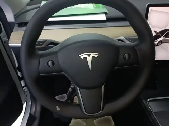 Tesla Model Y — Фото автомобиля 10