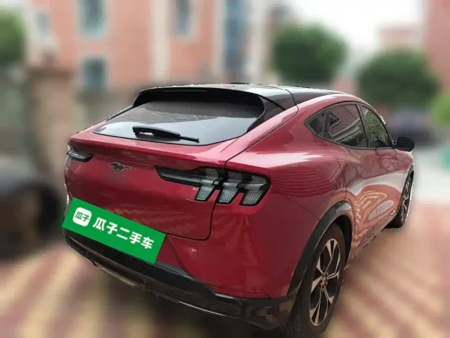 Ford Mustang Mach-E — Фото автомобиля 6