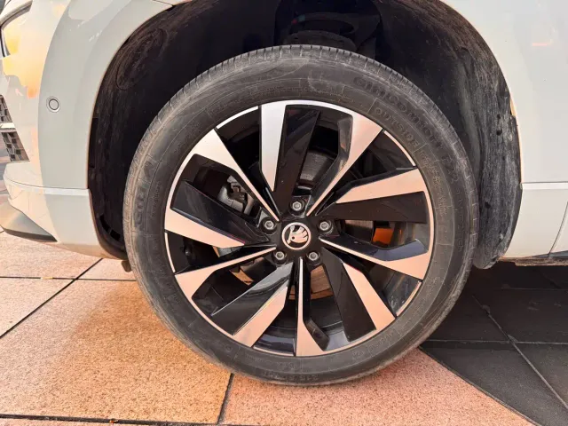 Skoda Karoq — Фото автомобиля 19