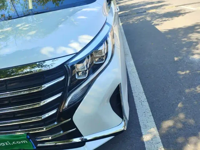 GAC Trumpchi M8 — Фото автомобиля 23