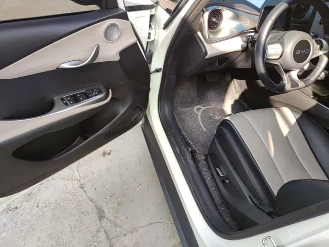 BYD Dolphin — Фото автомобиля 15
