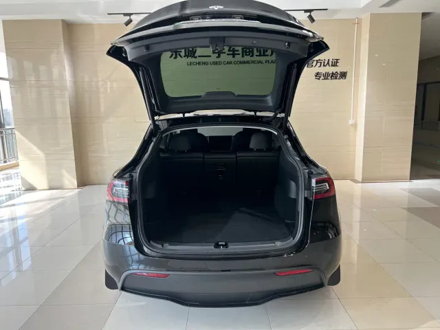 Tesla Model Y — Фото автомобиля 19