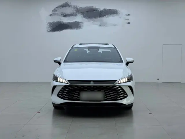 BYD Qin PLUS — Фото автомобиля 6
