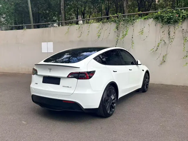 Tesla Model Y — Фото автомобиля 3