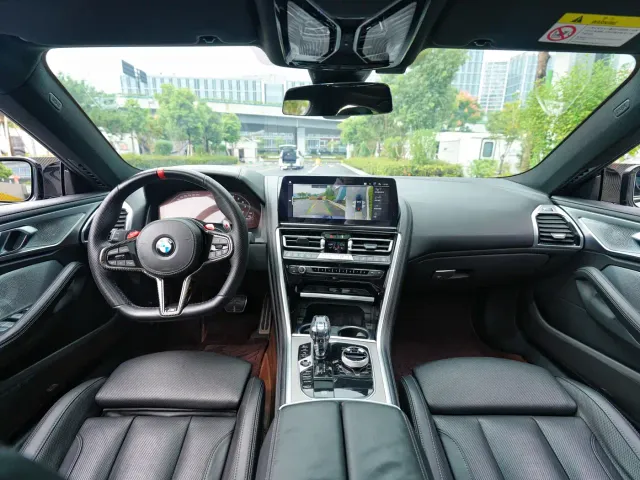 BMW 8 Series — Фото автомобиля 10