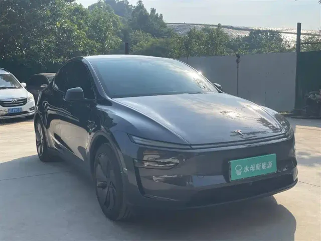 Tesla Model Y — Фото автомобиля 12