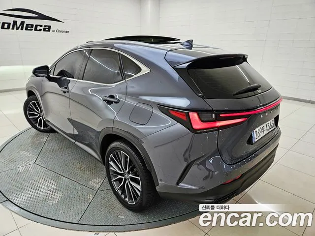 Lexus NX — Фото автомобиля 4