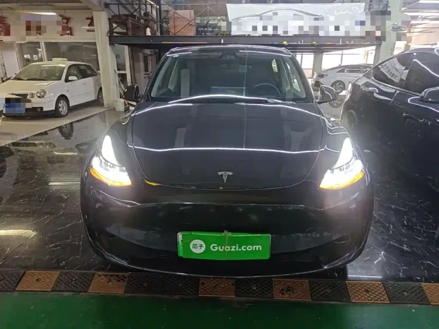 Tesla Model Y — Фото автомобиля 2