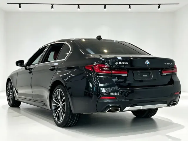 BMW 5 Series — Фото автомобиля 5