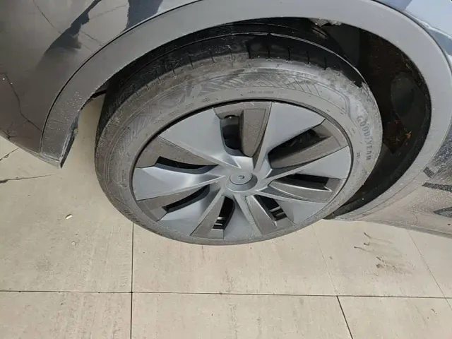 Tesla Model Y — Фото автомобиля 22