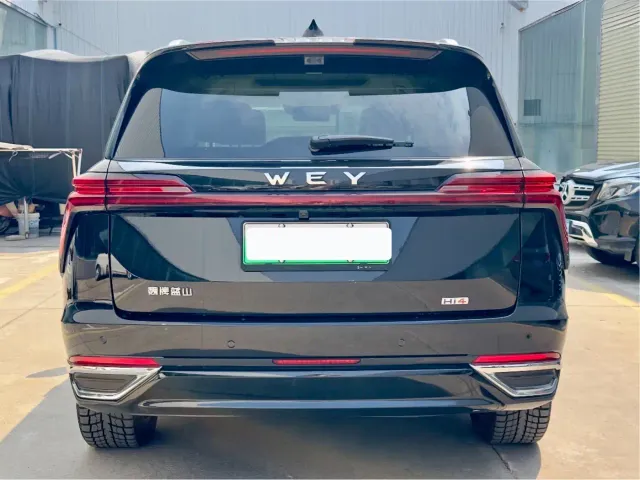 Wey Lanshan — Фото автомобиля 7