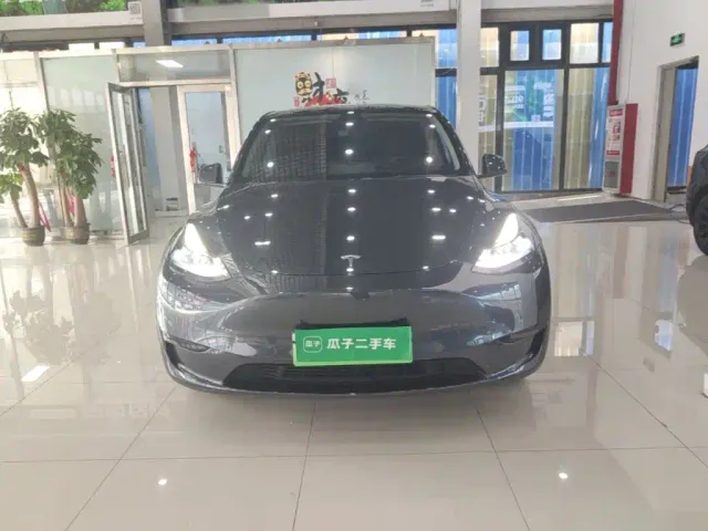 Tesla Model Y — Фото автомобиля 2