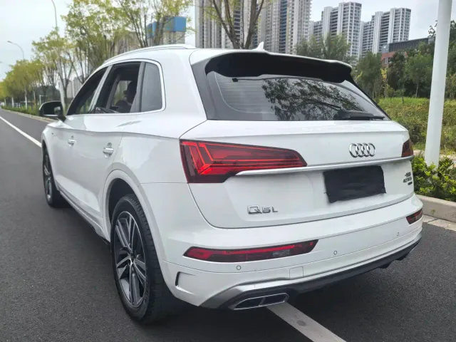 Audi Q5L — Фото автомобиля 19