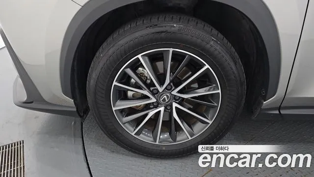 Lexus NX NX450h+ 2nd Gen — Фото автомобиля 5