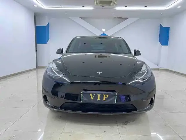 Tesla Model Y — Фото автомобиля 2