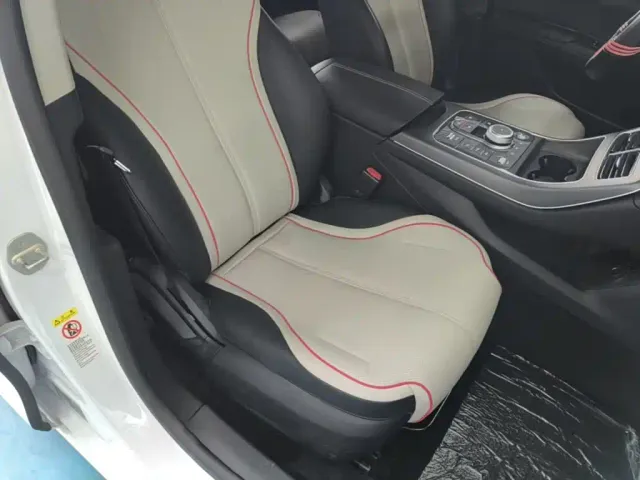 BYD Destroyer 05 2022 DM-i 55KM Luxury — Фото автомобиля 24