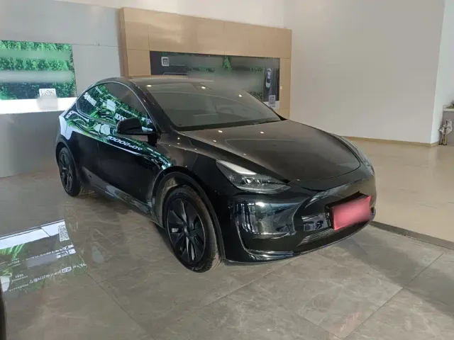 Tesla Model Y — Фото автомобиля 3