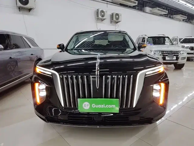 Hongqi E-HS9 — Фото автомобиля 2