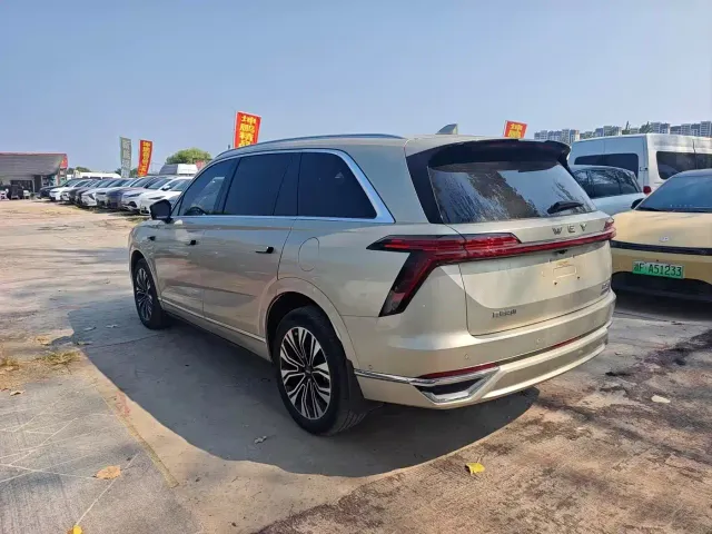 Wey Lanshan — Фото автомобиля 9