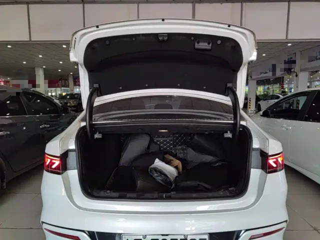 BYD Qin PLUS — Фото автомобиля 18