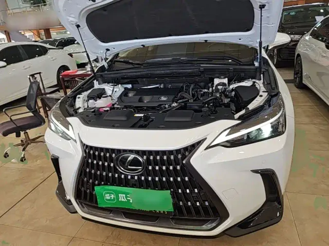Lexus NX — Фото автомобиля 19