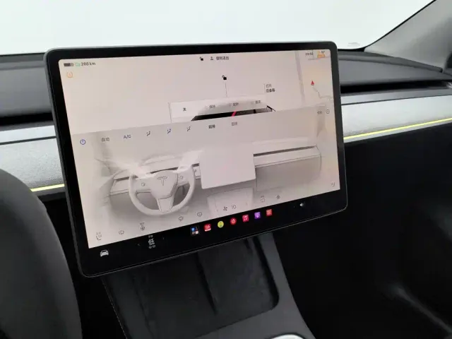 Tesla Model Y — Фото автомобиля 12