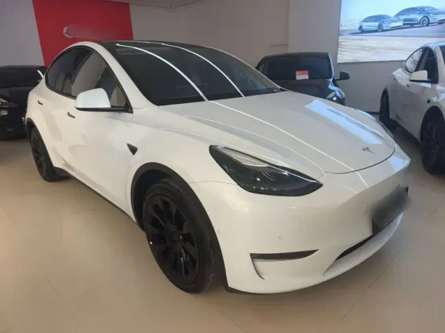Tesla Model Y — Фото автомобиля 3