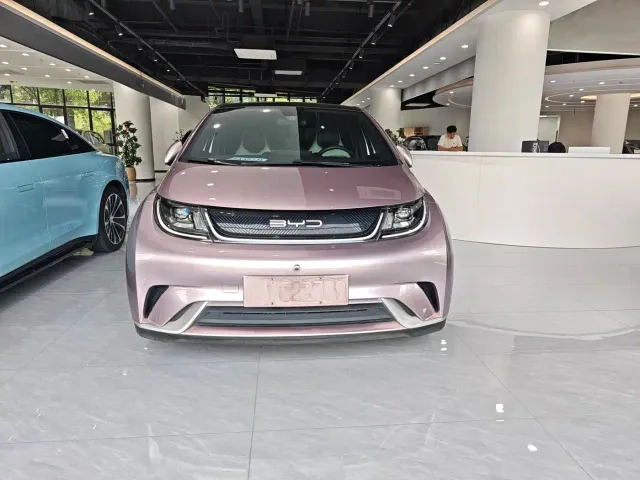 BYD Dolphin — Фото автомобиля 2