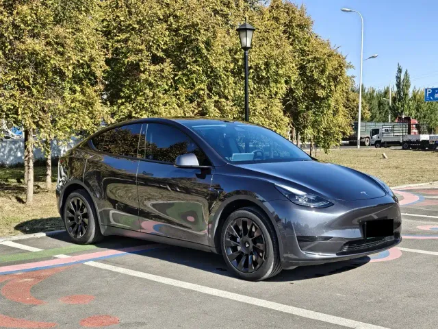 Tesla Model Y — Фото автомобиля 3