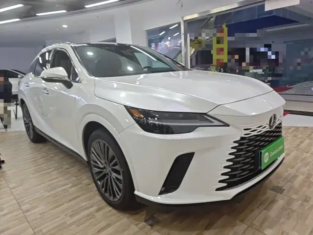 Lexus RX — Фото автомобиля 21